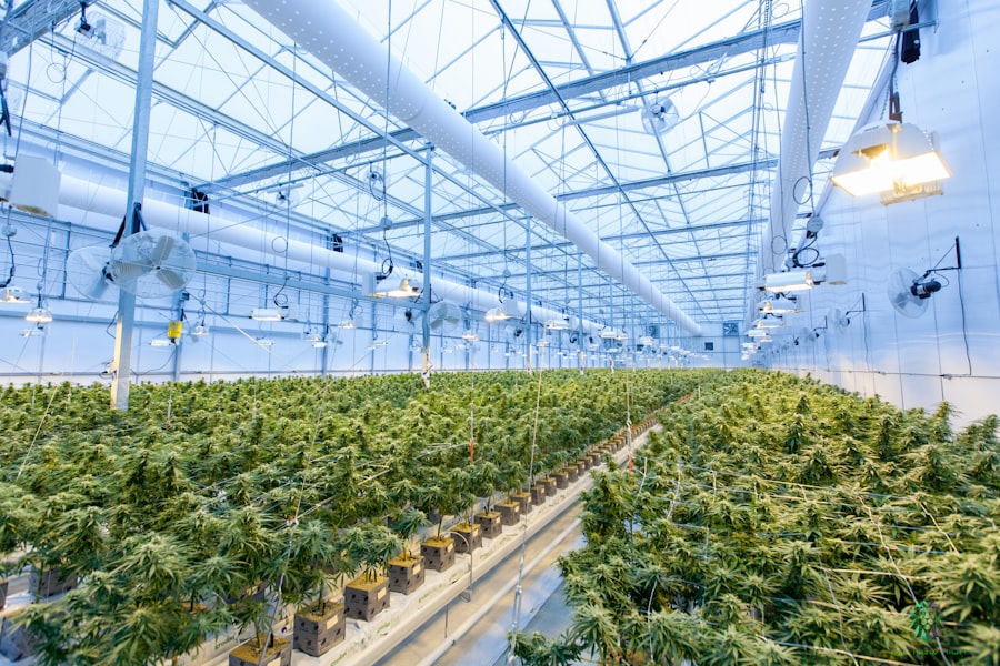 Photo greenhouses
