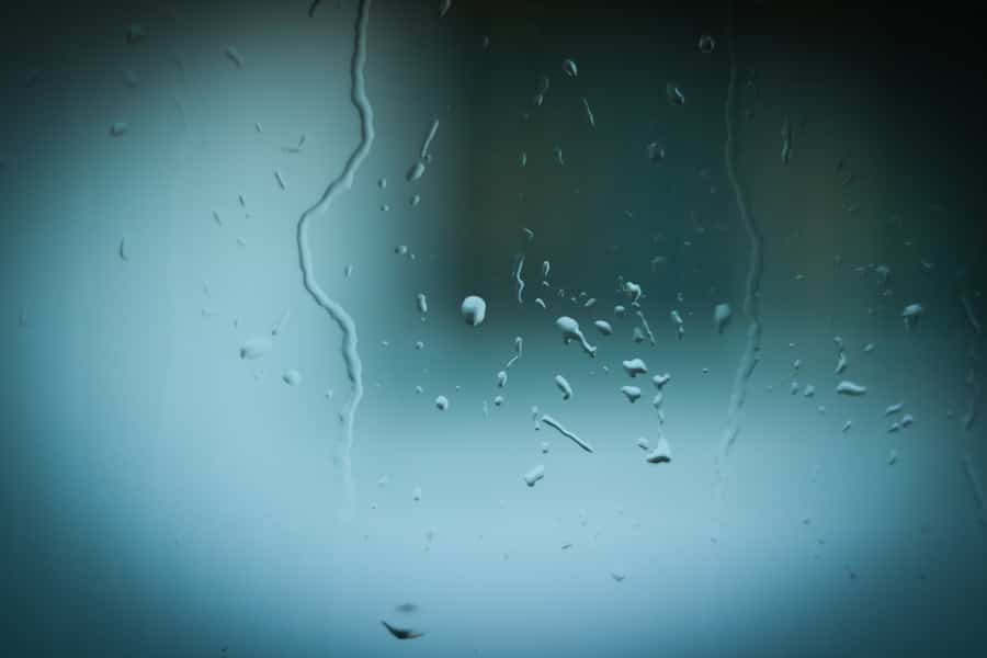 Photo transparency
