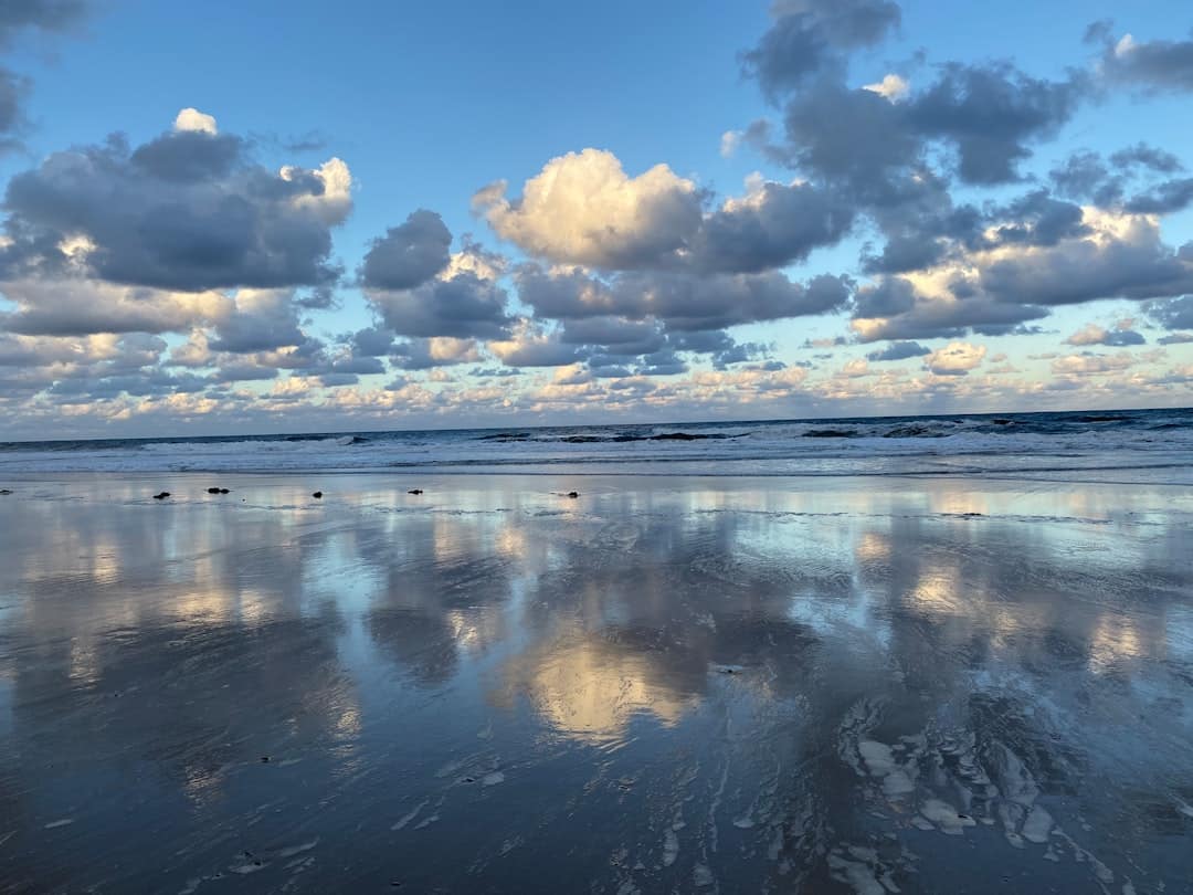 Photo reflecting