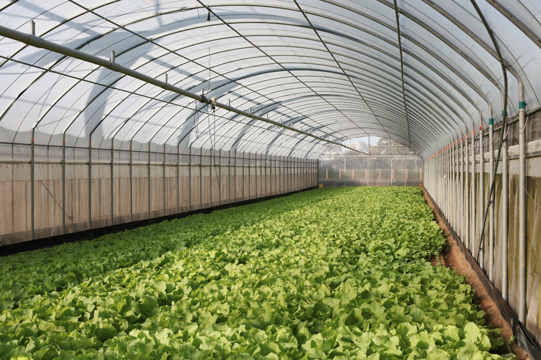 Photo greenhouses